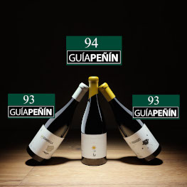 El vino Fai un Sol de Carallo, 94 puntos en la Guía Peñín 2021